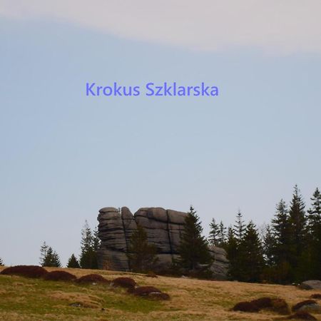 Apartament Krokus Szklarska 스클라르스카포렘바 외부 사진