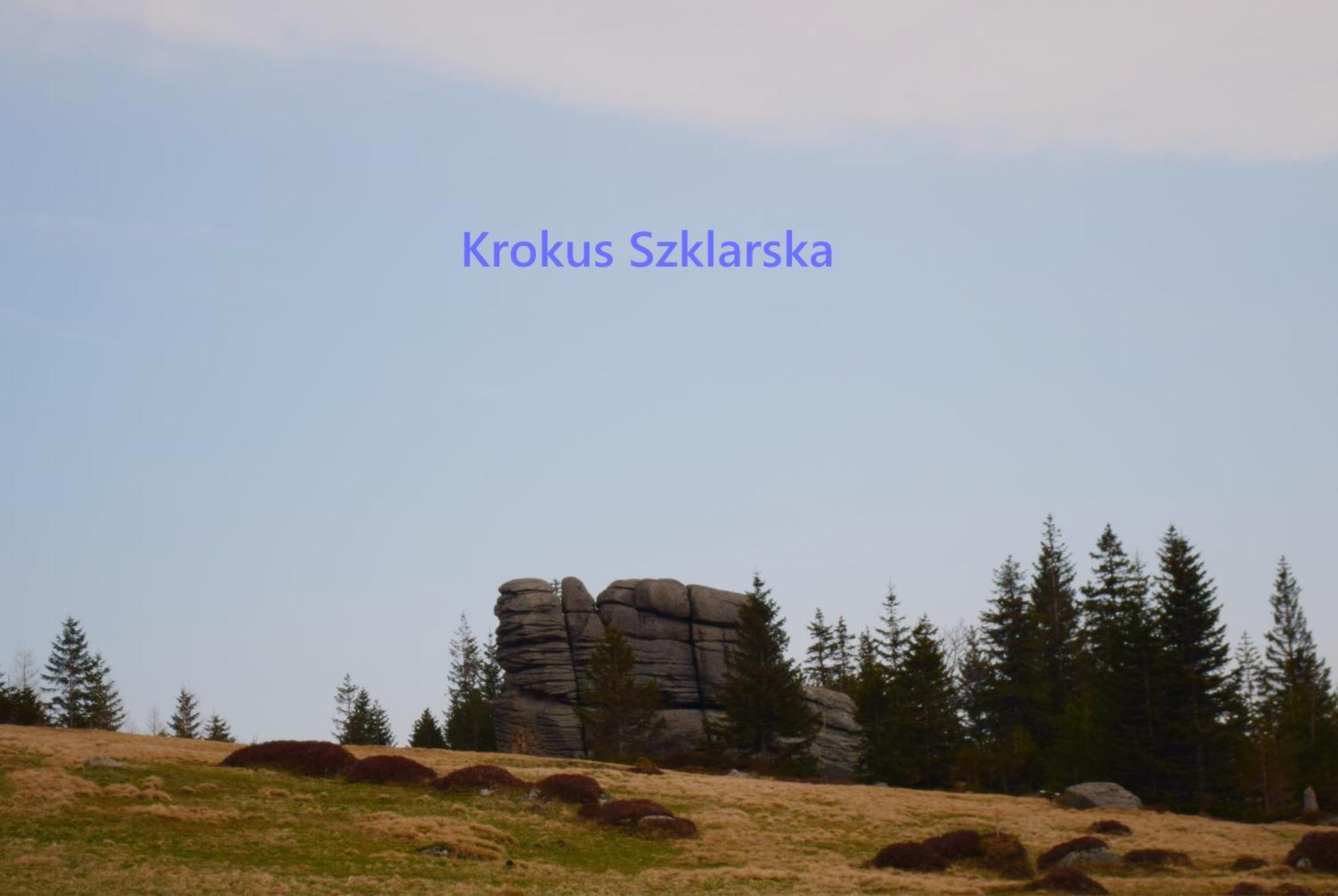 Apartament Krokus Szklarska 스클라르스카포렘바 외부 사진