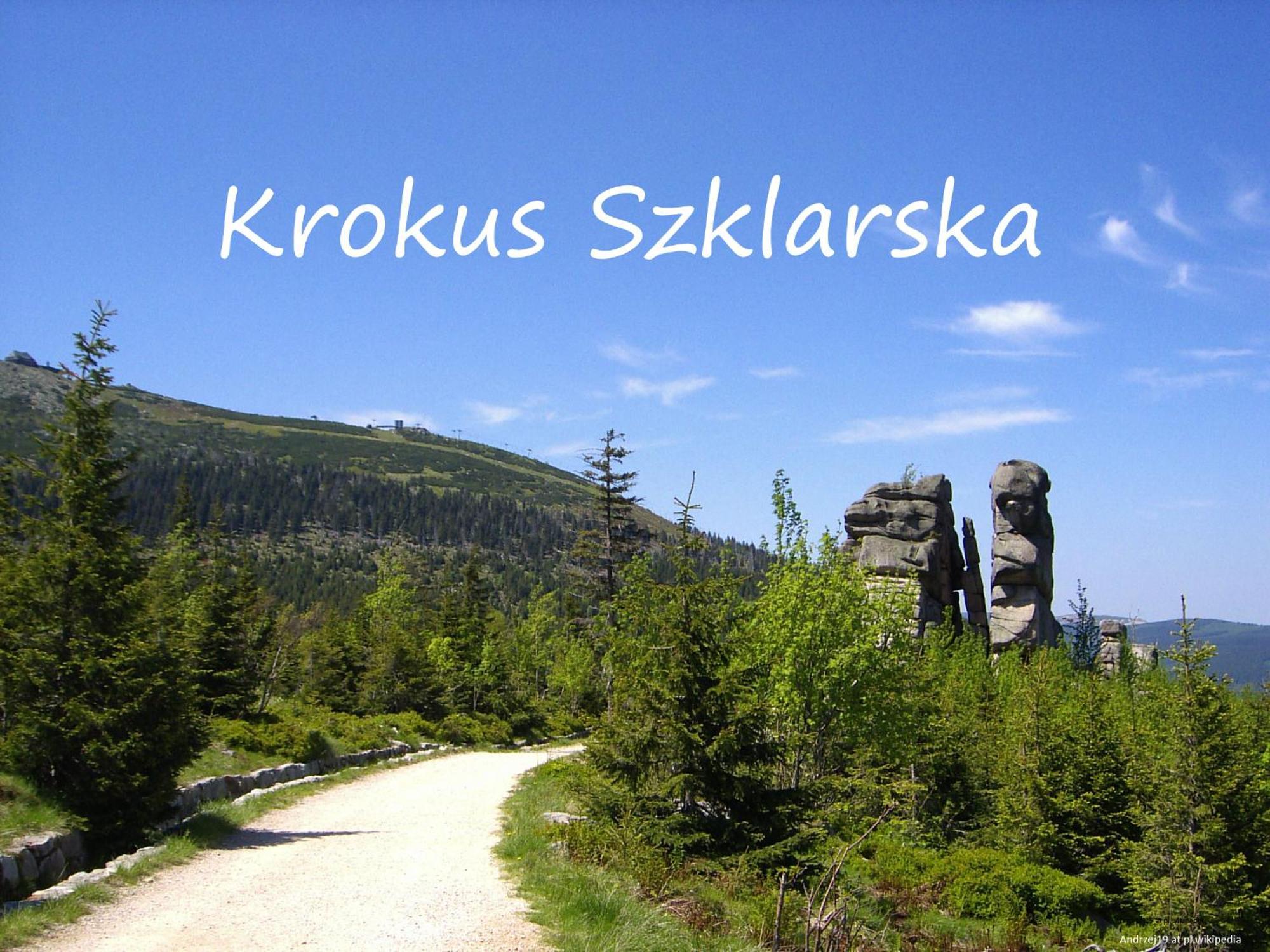 Apartament Krokus Szklarska 스클라르스카포렘바 외부 사진